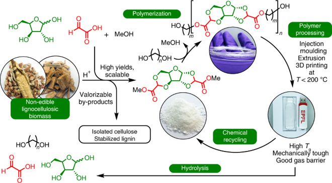 可降解生物基聚酯,登上《Nature Chemistry》封面!