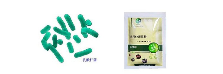 em菌 哪儿有卖养殖动物使用的益生菌产品