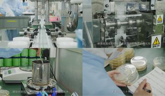 日本娜丽丝的樱花约定,带你看懂日本知名化妆品品牌娜丽丝的前世今生