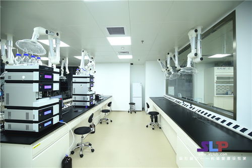 建设食品厂微生物实验室的基本要求 以生物复合剂生产为例